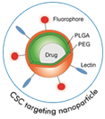 CSC-Nanoparticle1